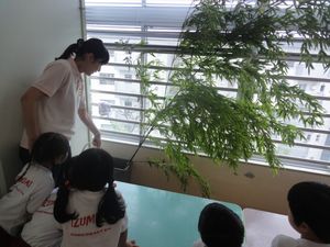 2026.7.6七夕まつりに向けて