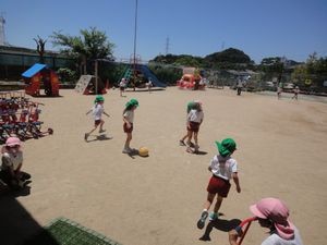 2026.7.9梅雨が明けて 2026.7.9梅雨が明けて