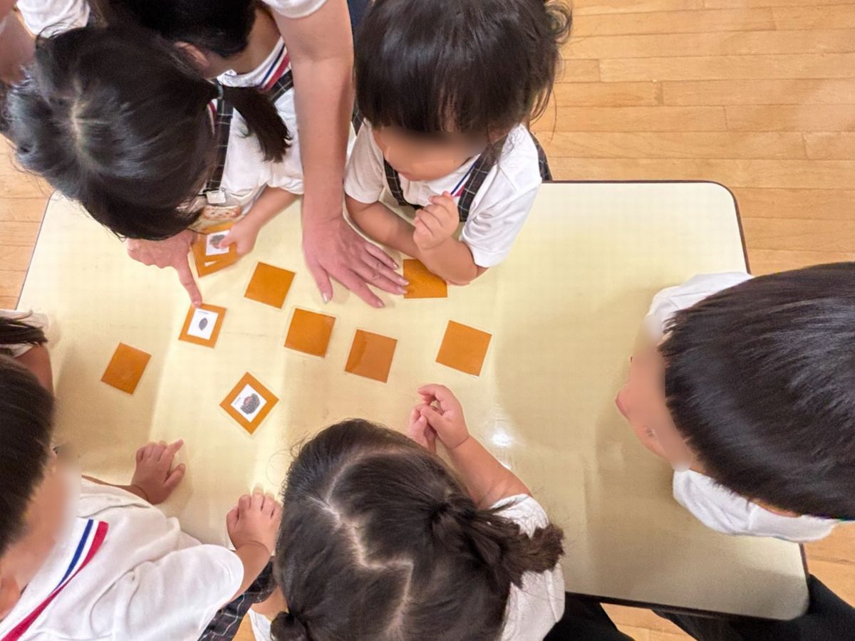 3どんぐり 3どんぐり