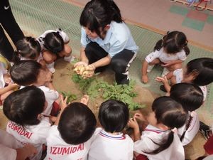 2026.6.18泉台農園