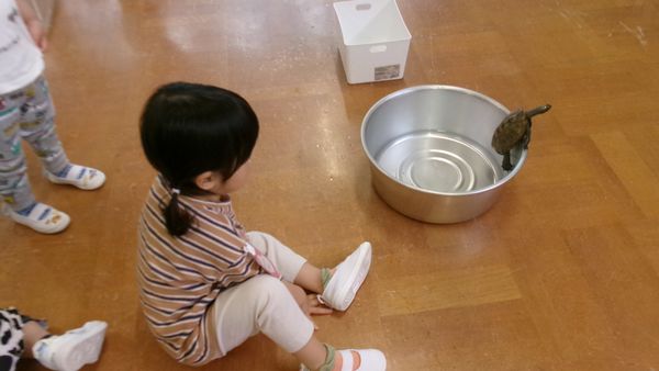 2026.5.27小動物ふれあい
