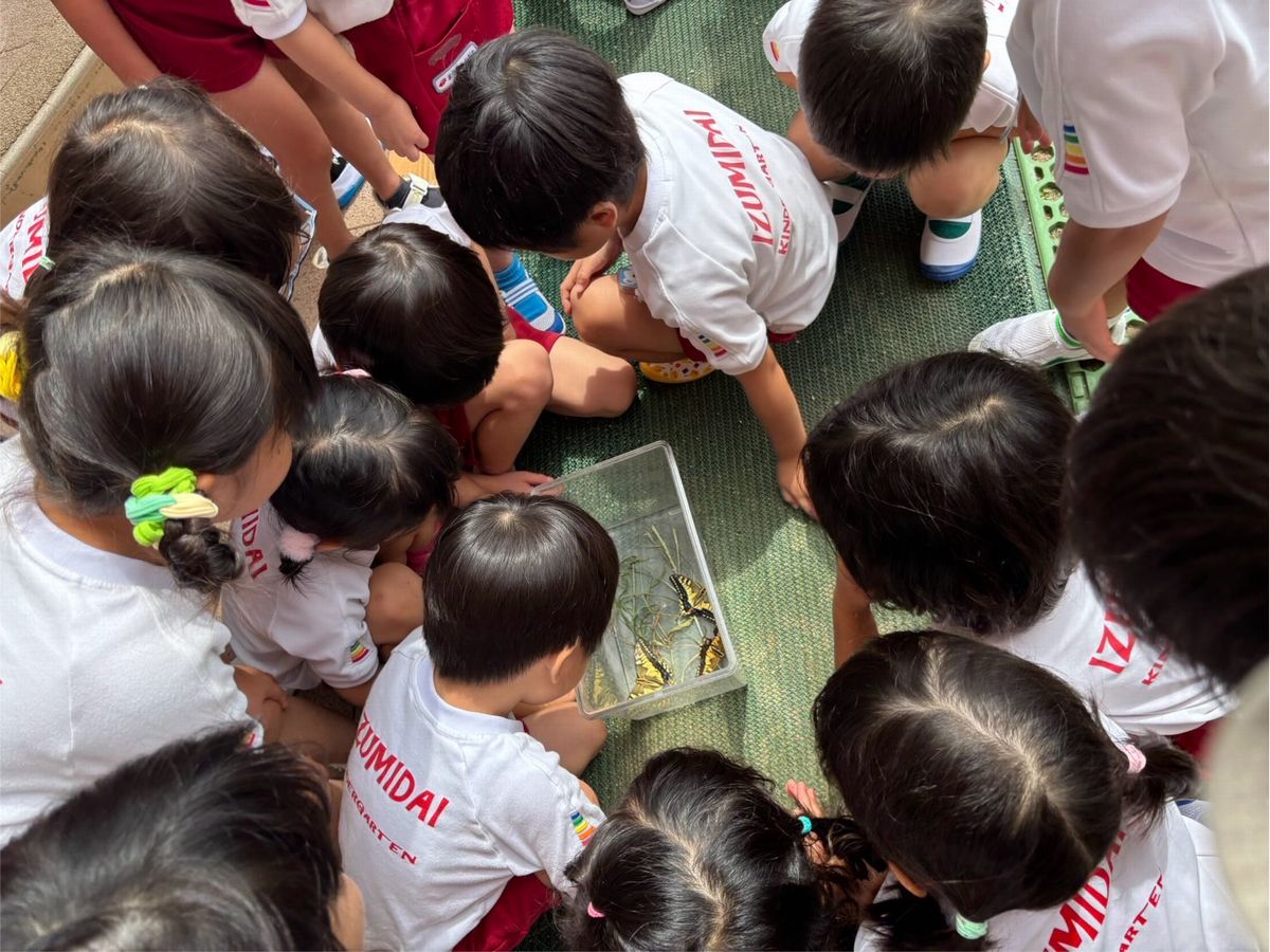 4歳虫 4歳虫