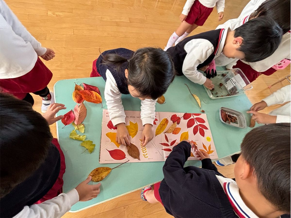 4落ち葉2 4落ち葉2