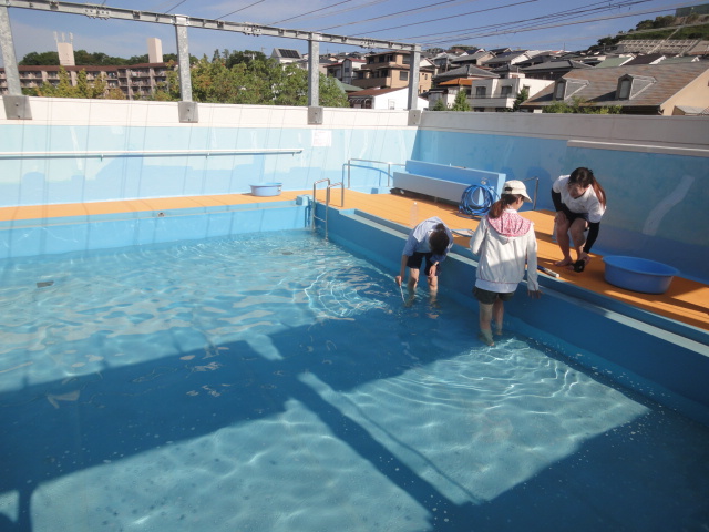 2026.7.3水遊びスタート