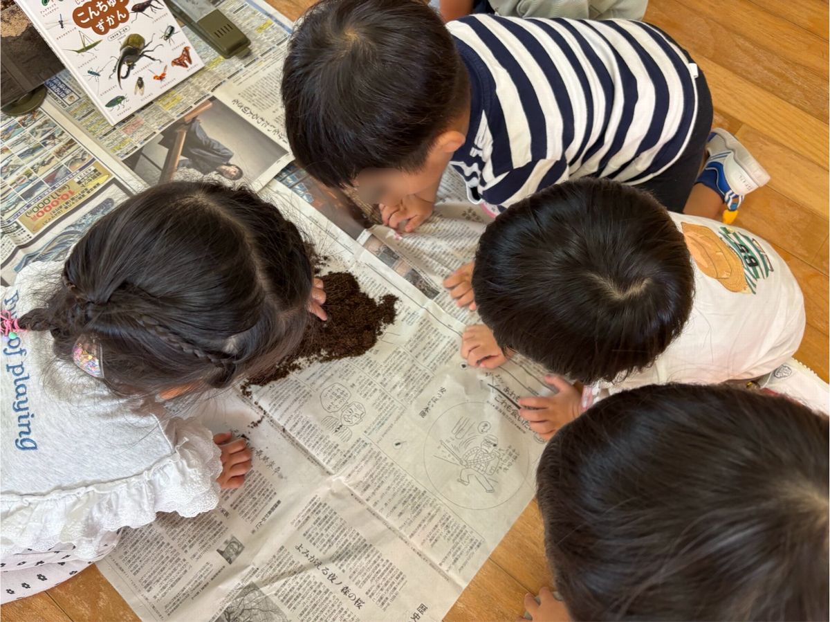 ２歳２
