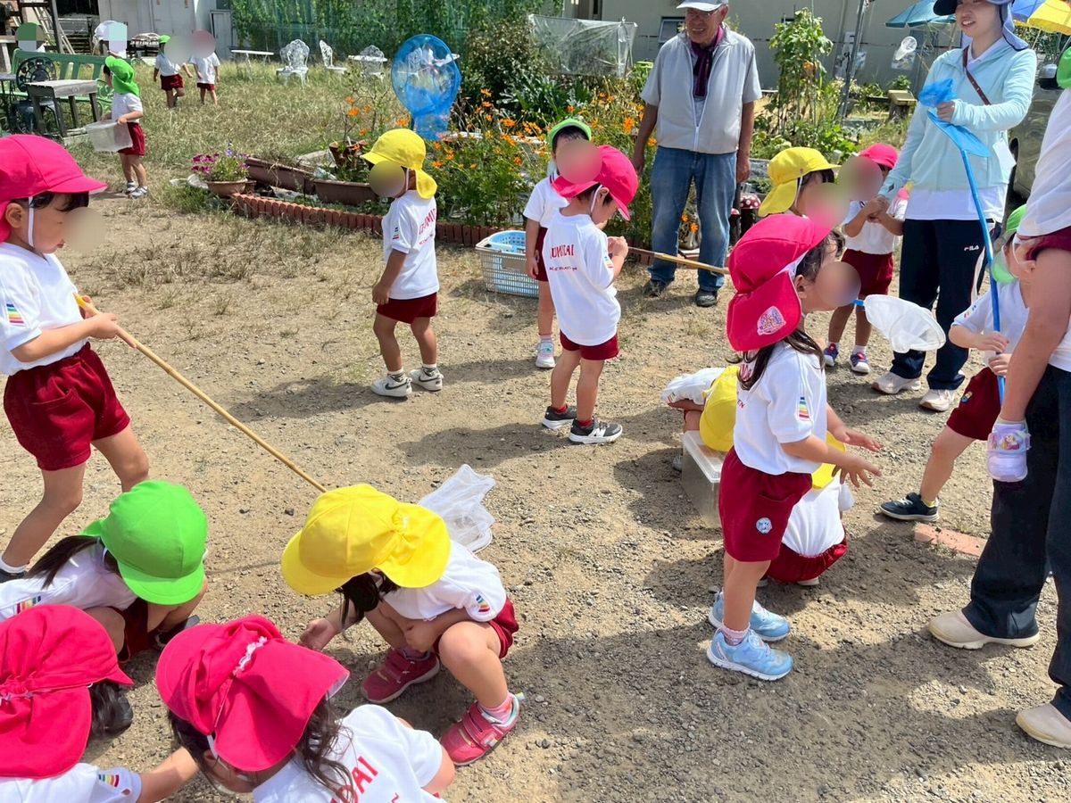 ３歳虫取り３